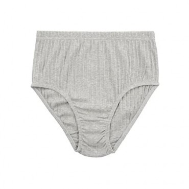Knitlord Women's Plus Size Underwear Cotton 6 Pack Comfort Briefs Panties