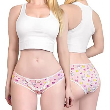 Littleforbig Women's Ladies Soft Cotton Underwear Comfortable Hipster Briefs 5 Pack Panties Set - Usagi Pattern