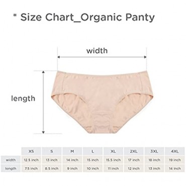 Rael/Hesta Organic Cotton Panties Underwear - Premium Fabric Breifs Comfortable Breathable Soft Safe on sensitive skin for Women (Medium 3Black)