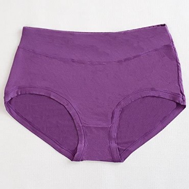 Warm Sun Women's Bamboo Viscose Fiber Multi Pack Plus Size Stretchy Soft Breathable High Middle Waist Panties Size S-3XL