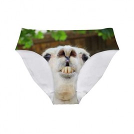 Allcute Flowers Sexy Women Fun Sexy 3D Printed Panty Briefs Underwear Hipster for Bachelor Party Gift
