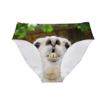 Allcute Flowers Sexy Women Fun Sexy 3D Printed Panty Briefs Underwear Hipster for Bachelor Party Gift