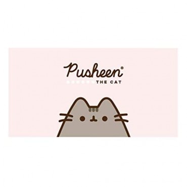 Pusheen The Cat Womens Underwear Sexy Panties for Women with Cute 3D Cat Ears 3-Pack