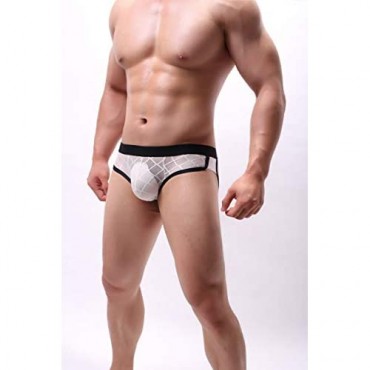 Swbreety Men's Gridding See Through Mesh Bikini Briefs Low Rise Underwear
