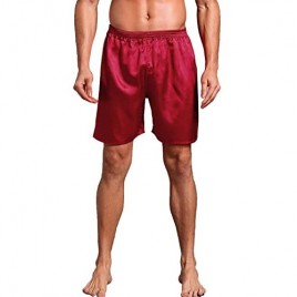 Admireme Mens Satin Boxers Shorts Satin Sleep Pajamas Shorts Travel Underwear