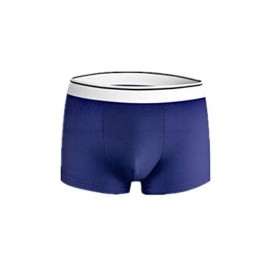 FAHUICHEN Men's ice Silk Panties Boxers Summer Solid Color Breathable Shorts Thin Boxer Panties