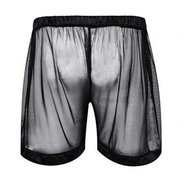 TSSOE Men's See-Through Mesh Boxer Shorts Trunks Underwear Undershorts Swimsuit
