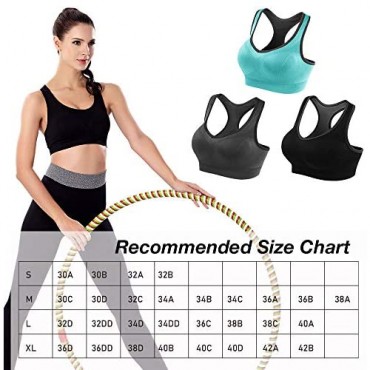 ZION & PISHON ZP Sports Bras for Women 3 Pack Yoga Gym Fitness Activewear Bra with Removable Pad