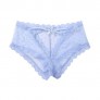 Womens Lace Panties Sexy Underwear Soft Stretch Mesh Lingerie Hipster Seamless Comfort Cheeky Bikini Briefs